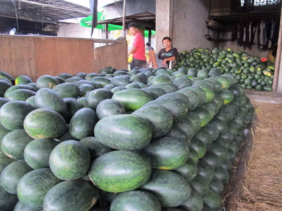 農(nóng)產(chǎn)品質(zhì)量安全十大謠言全解析 食用農(nóng)產(chǎn)品批發(fā)市場真相揭秘