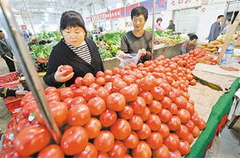 蔬菜價(jià)格四周累計(jì)回落6.3%，食用農(nóng)產(chǎn)品批發(fā)態(tài)勢分析